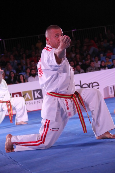Martial Arts Festival